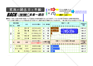 Excel ペット年齢換算システム（ペットと一緒に時空トラベル）